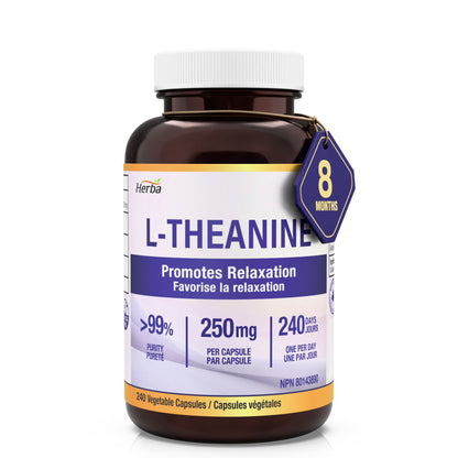 Herba L-Theanine Supplement 250mg – 240 Capsules | Promotes Relaxation Without Drowsiness | Anxiety Relief Support | 8 Month Supply | Made in Canada