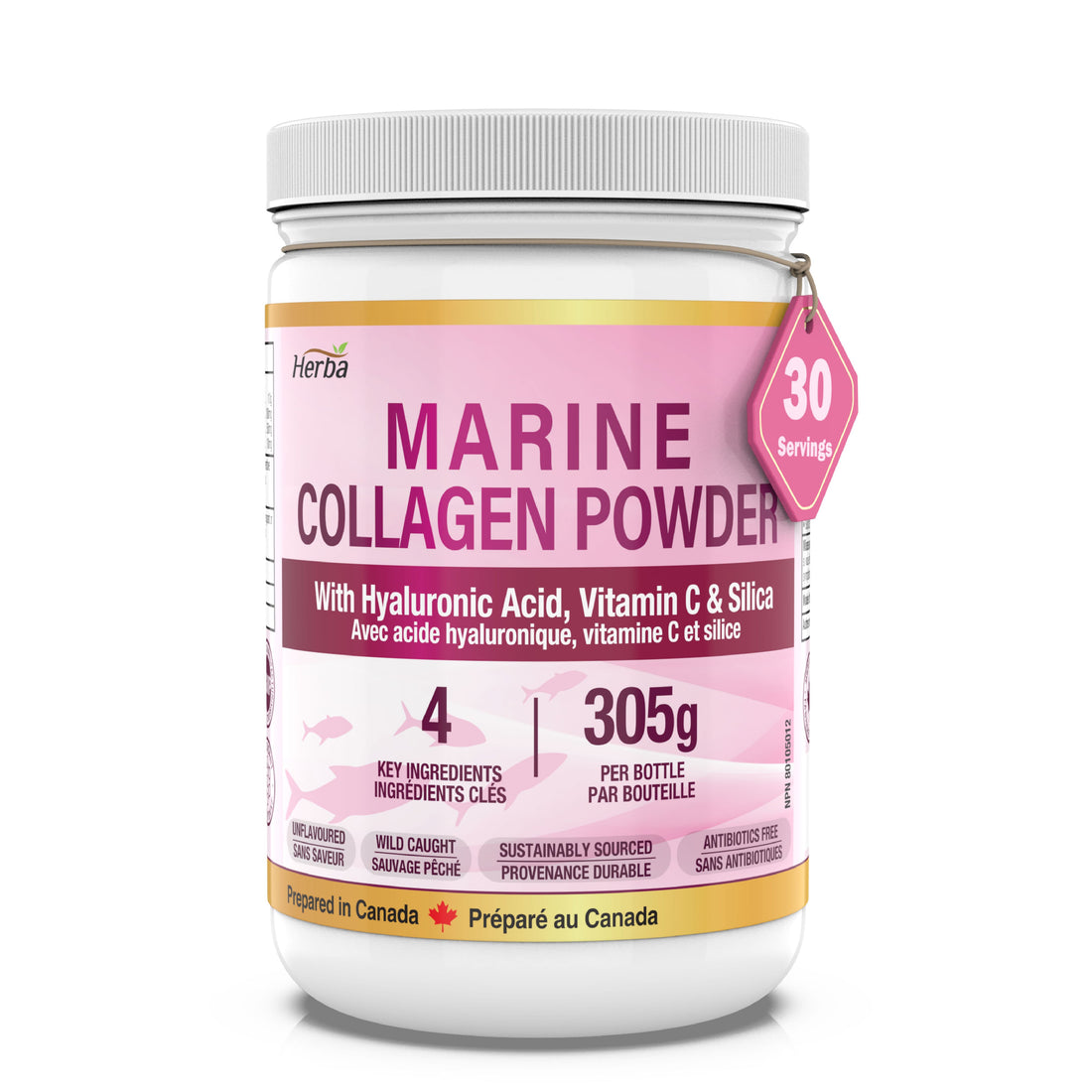 Marine Collagen Powder with Hyaluronic Acid, Silica, and Vitamin C – 305g (New) | Made in Canada