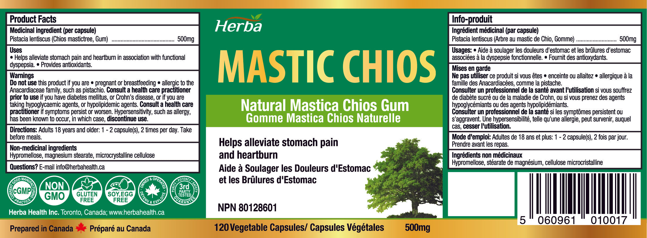 Gomme de mastic 500 mg - 120 capsules | Fabriqué au Canada