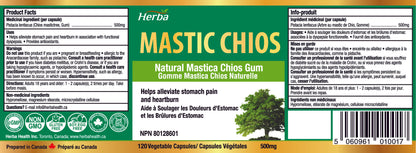 Gomme de mastic 500 mg - 120 capsules | Fabriqué au Canada