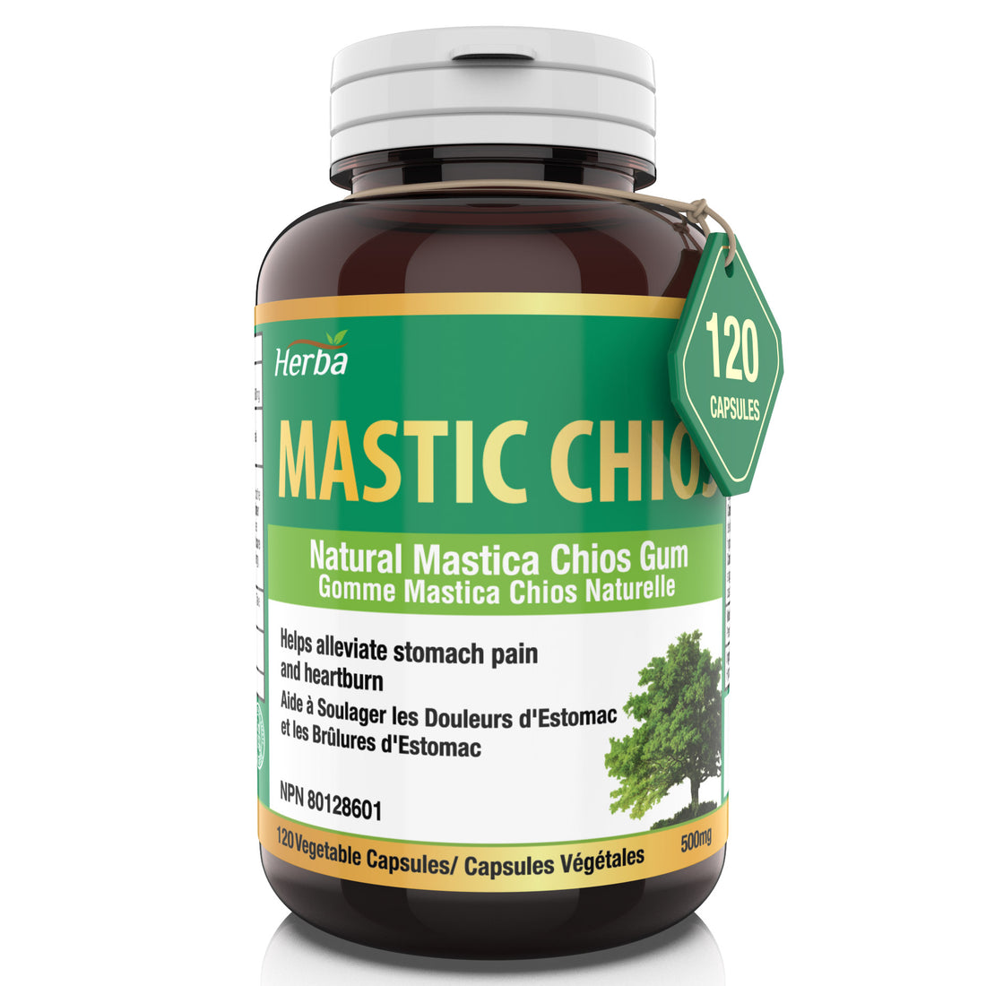 Gomme de mastic 500 mg - 120 capsules | Fabriqué au Canada