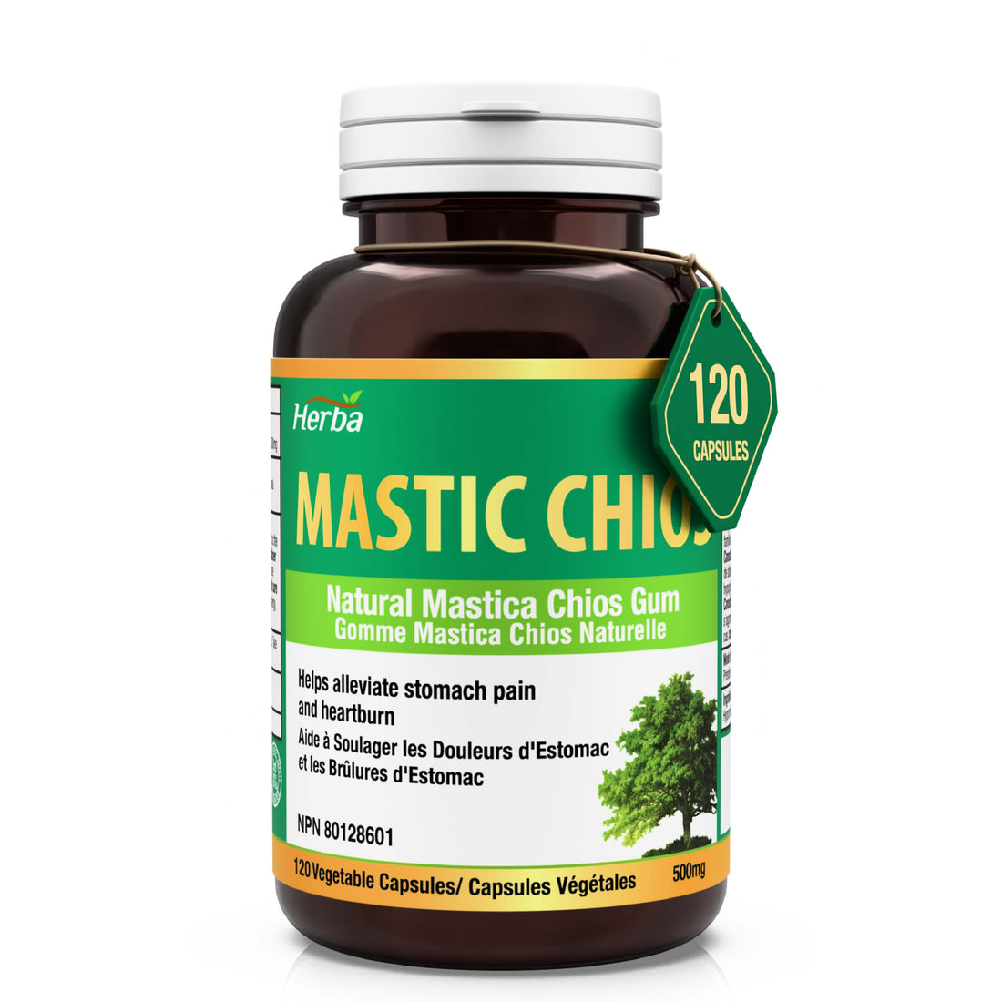 Gomme de mastic 500 mg - 120 capsules | Fabriqué au Canada