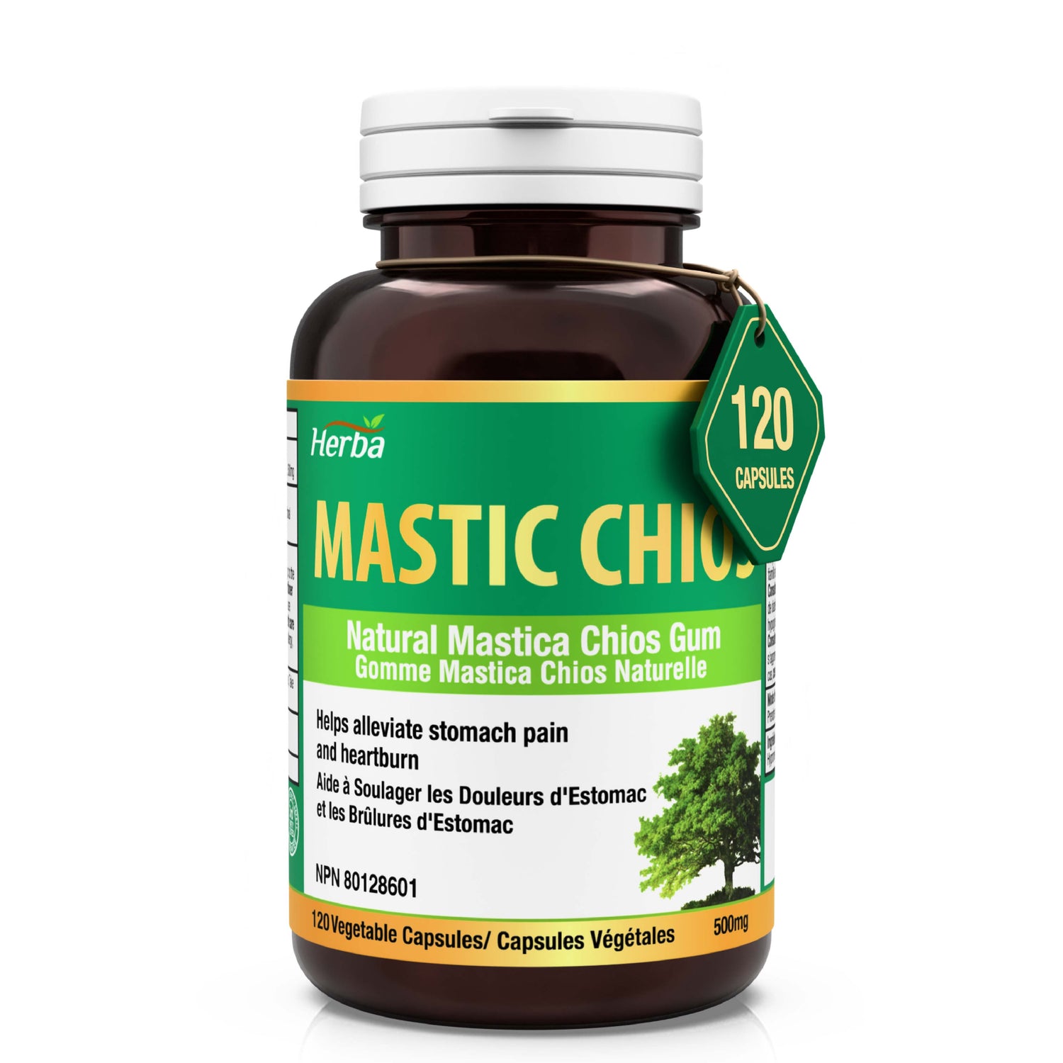 Gomme de mastic 500 mg - 120 capsules | Fabriqué au Canada