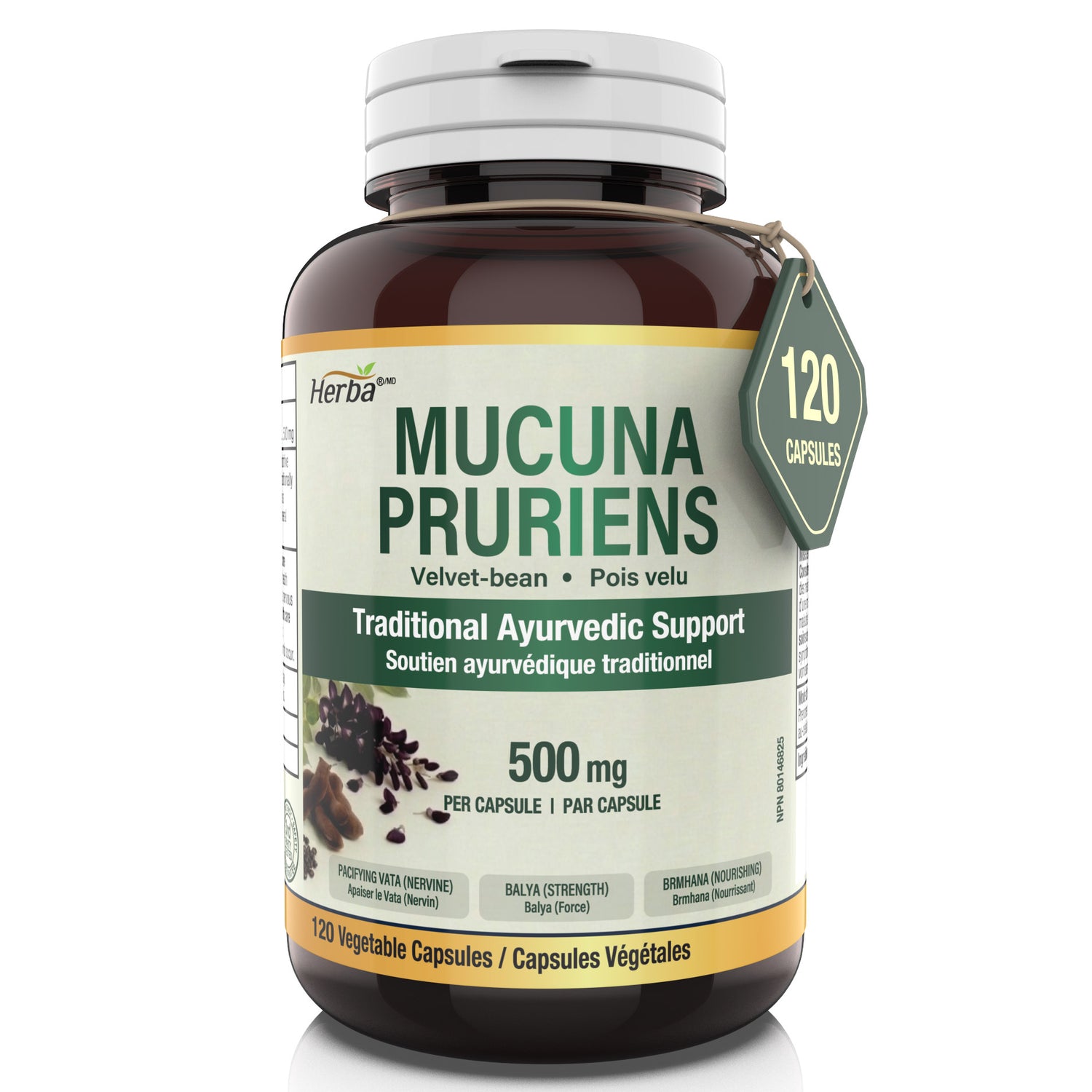 Mucuna Pruriens 500mg - 120 Capsules | Made in Canada