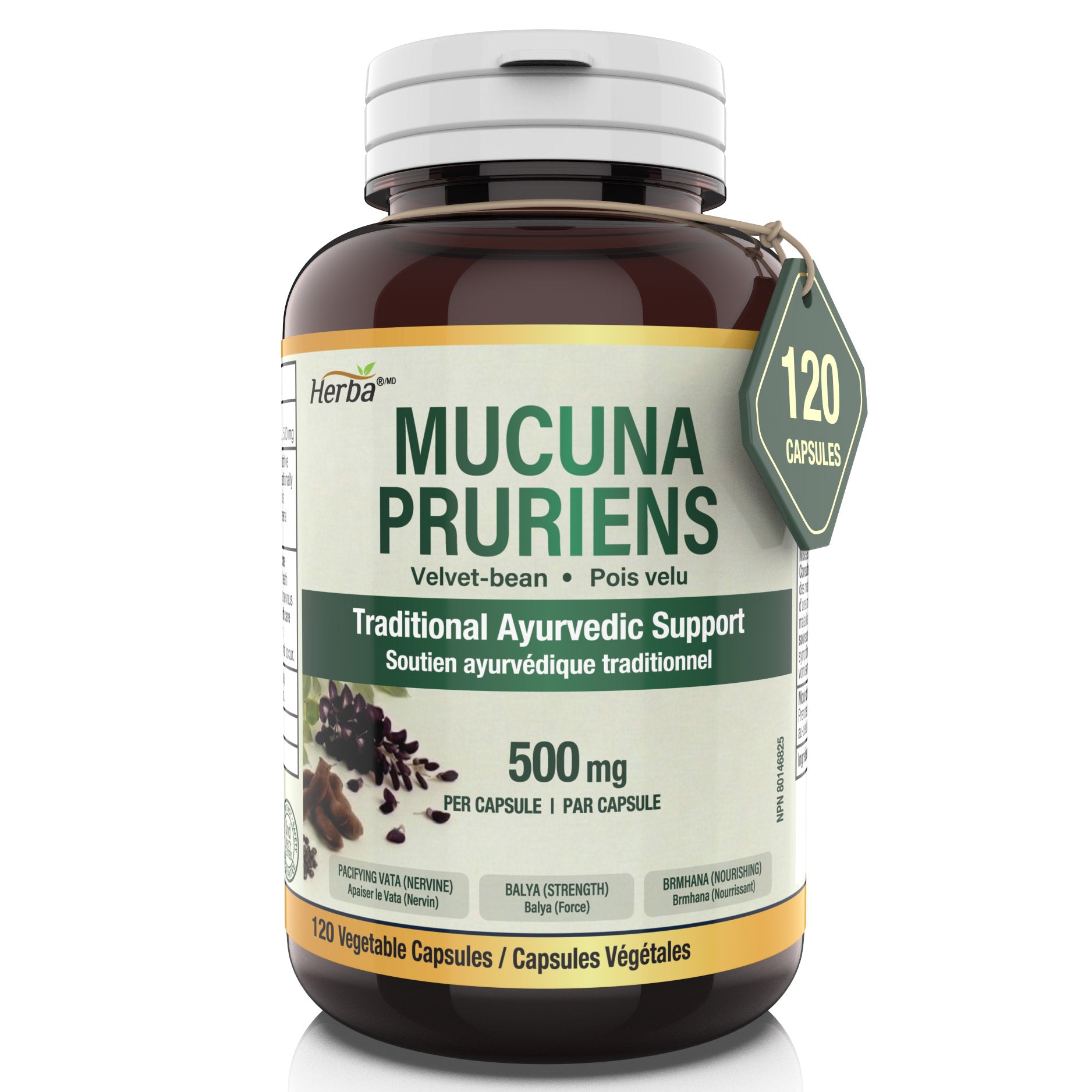 Mucuna Pruriens 500mg - 120 Capsules | Made in Canada