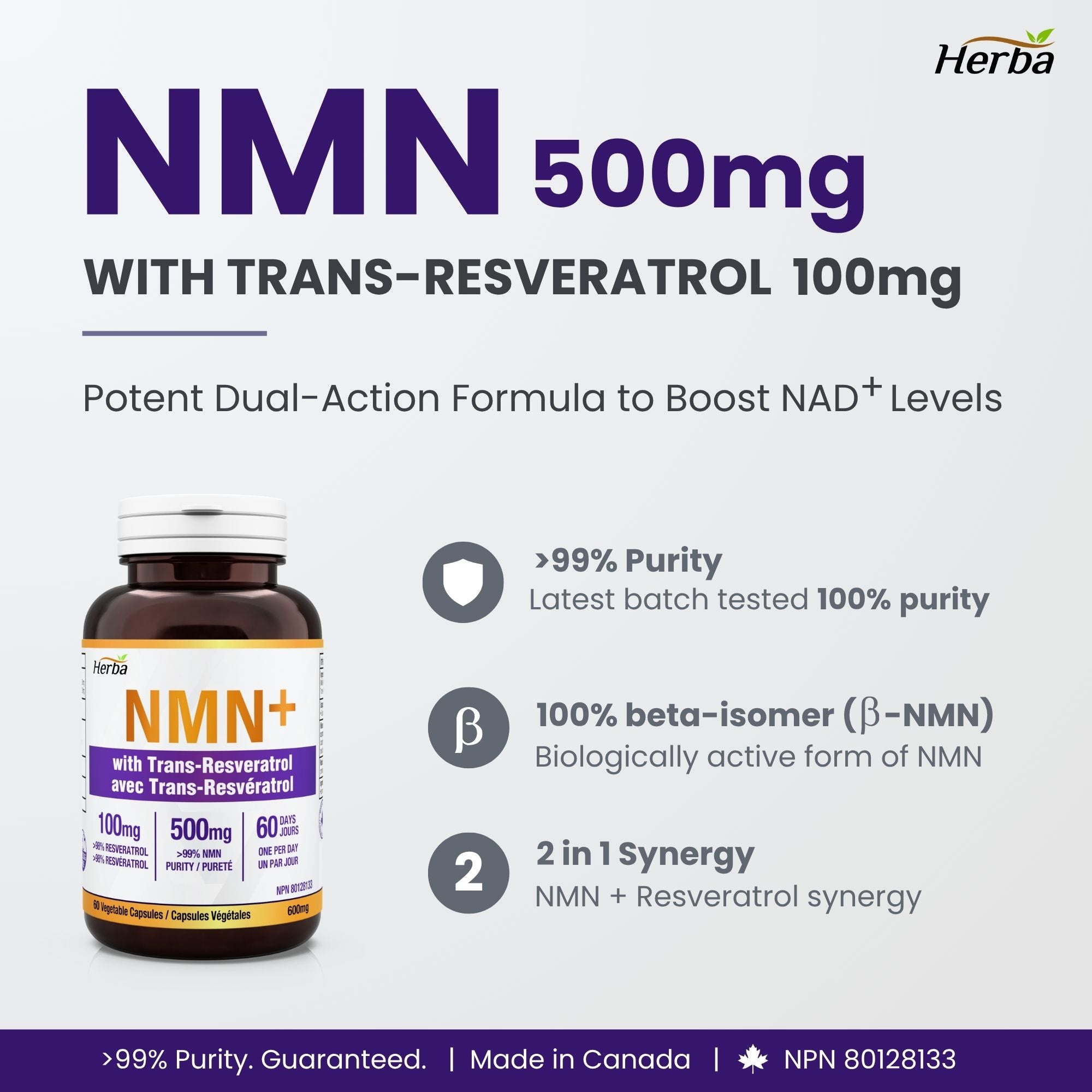 NMN Supplement + Resveratrol - 600mg | Made in Canada | 60 Vegetable Capsules