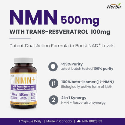 NMN Supplement + Resveratrol - 600mg | Made in Canada | 30 Vegetable Capsules