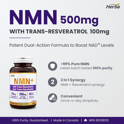 Supplément NMN + Resvératrol - 600 mg | Fabriqué au Canada | 60 Gélules Végétales