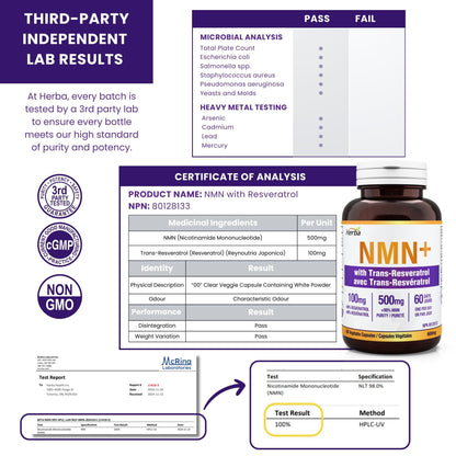 Supplément NMN + Resvératrol - 600 mg | Fabriqué au Canada | 60 Gélules Végétales