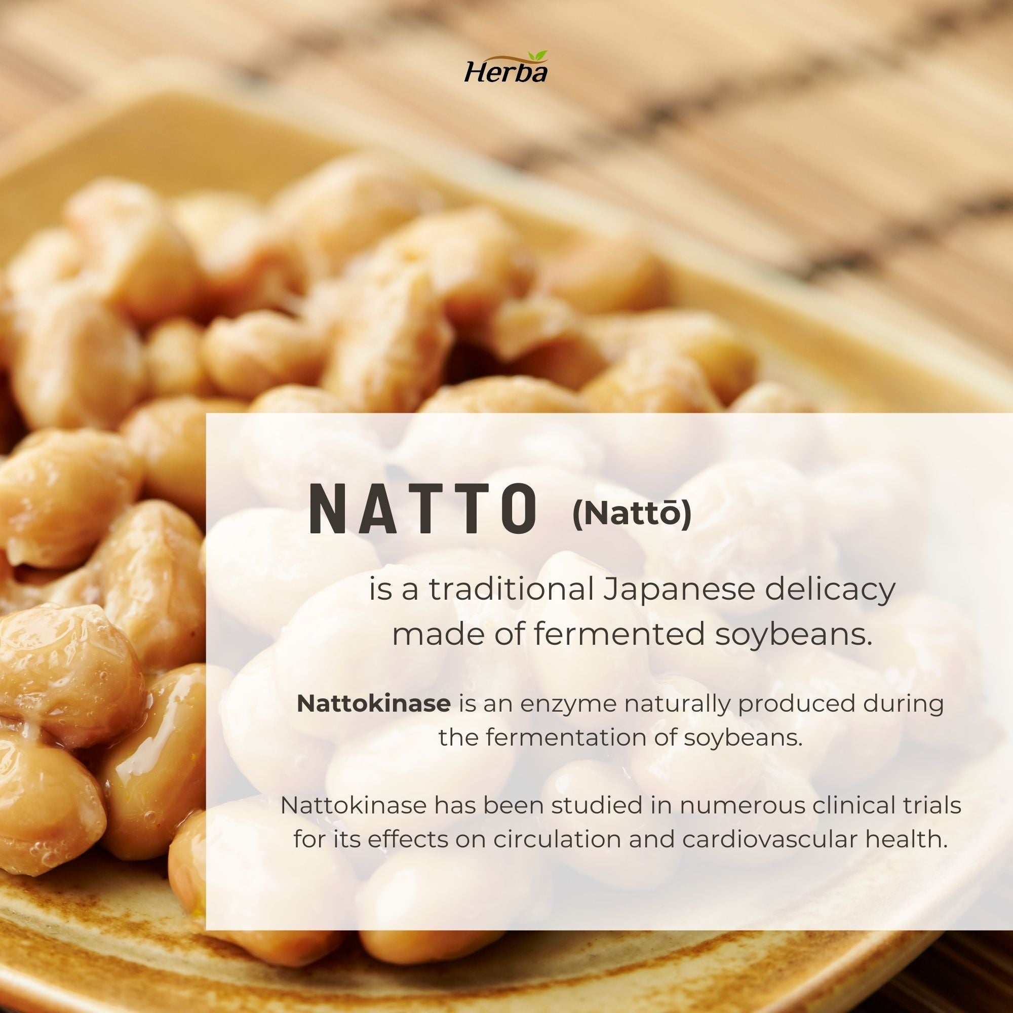 Nattokinase Supplement 2000 FU – 100mg, 120 Delayed Release Capsules