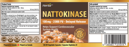 Nattokinase Supplement 2000 FU – 100mg, 120 Delayed Release Capsules