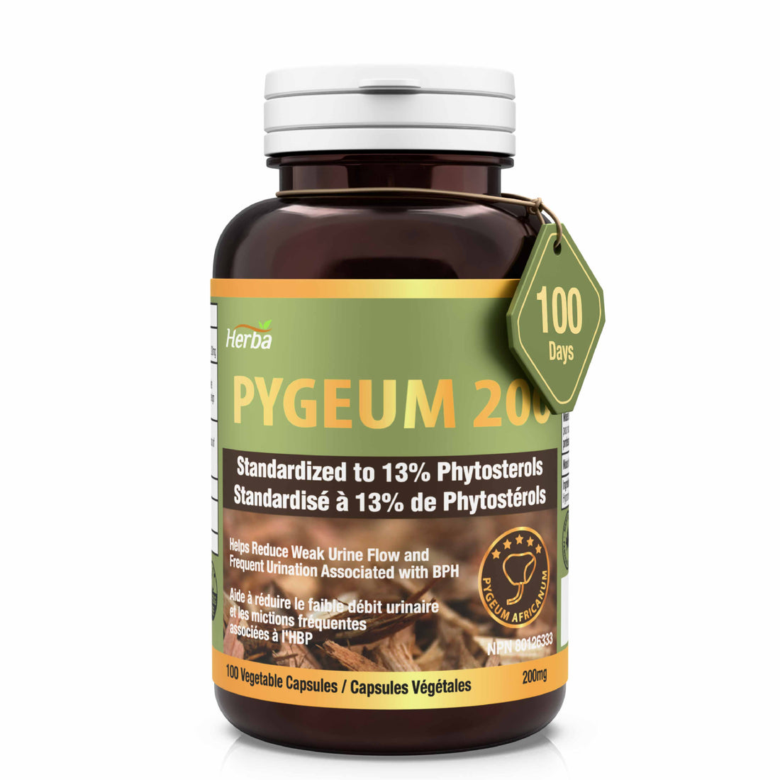 Pygeum Supplement 200mg – 100 Capsules | Made in Canada