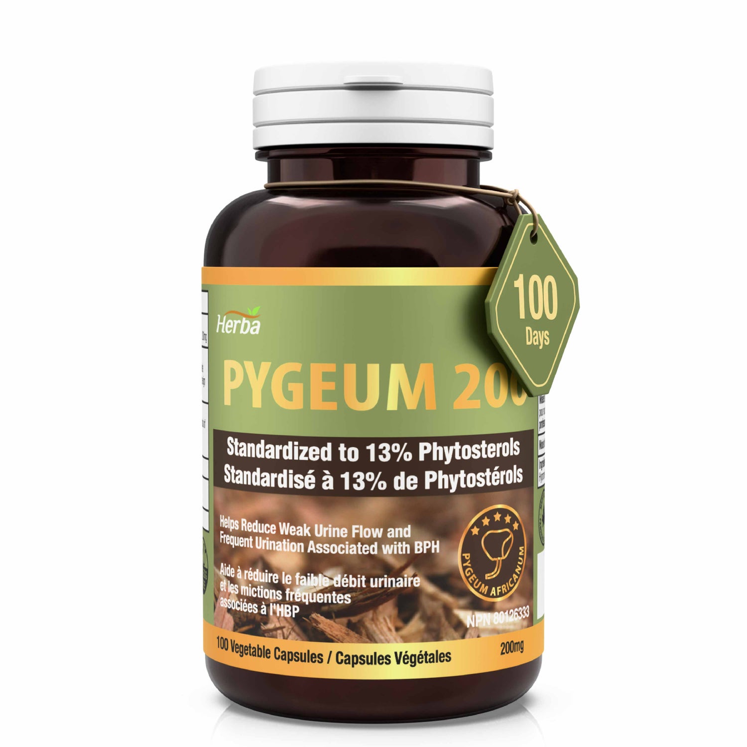 Pygeum Supplement 200mg – 100 Capsules | Made in Canada