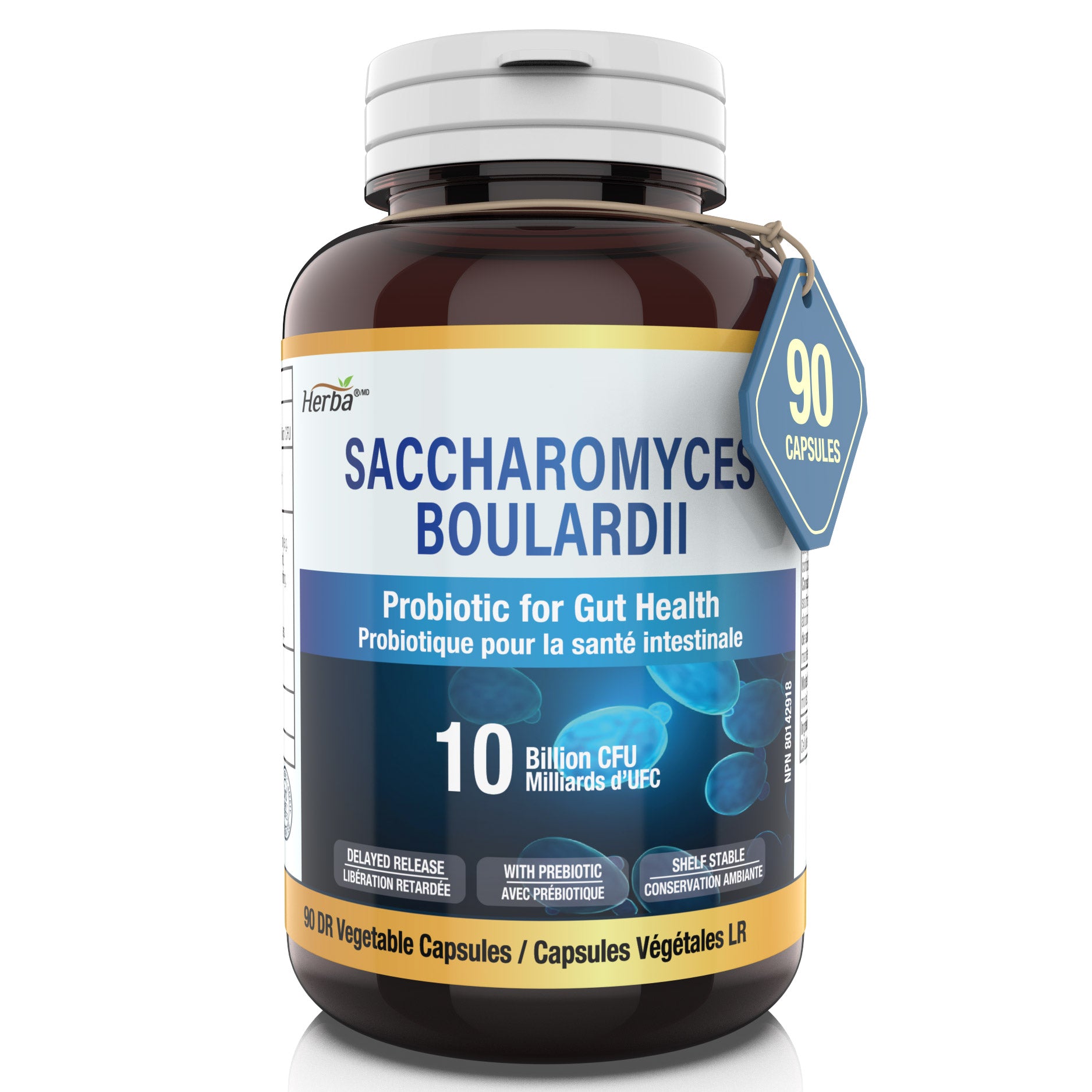Herba Saccharomyces Boulardii Probiotic 10B CFU – 90 DR Capsules | Made in Canada