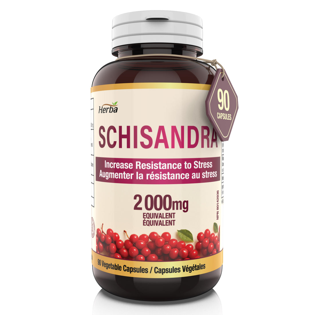 Complément de Schisandra – 90 Capsules | Extrait 4:1 – Équivalent de 2 000 mg de Baie de Schisandra | Fabriqué au Canada