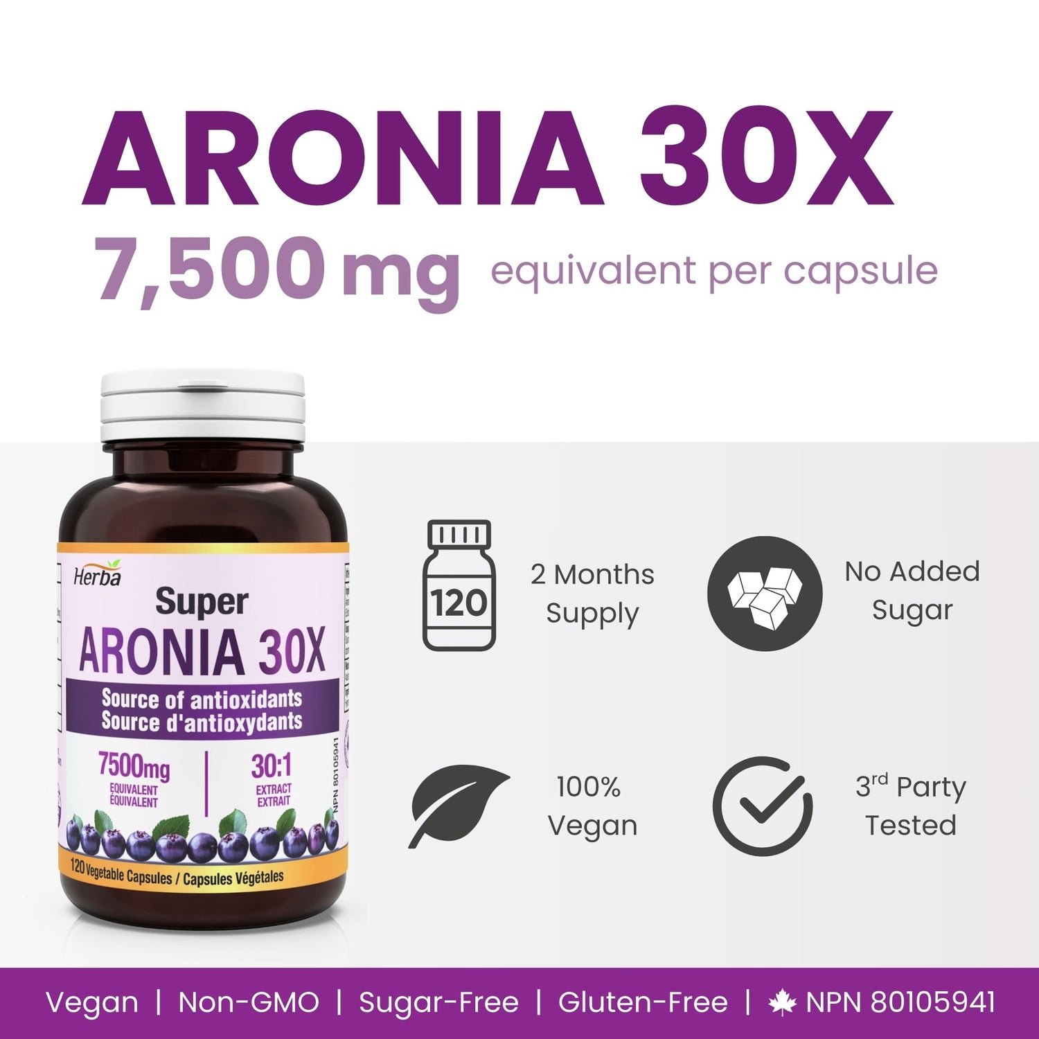 Aronia Berry Extract 250mg – 120 Capsules | 7500mg Fruit Equivalent | 30:1 Aronia Extract Supplement