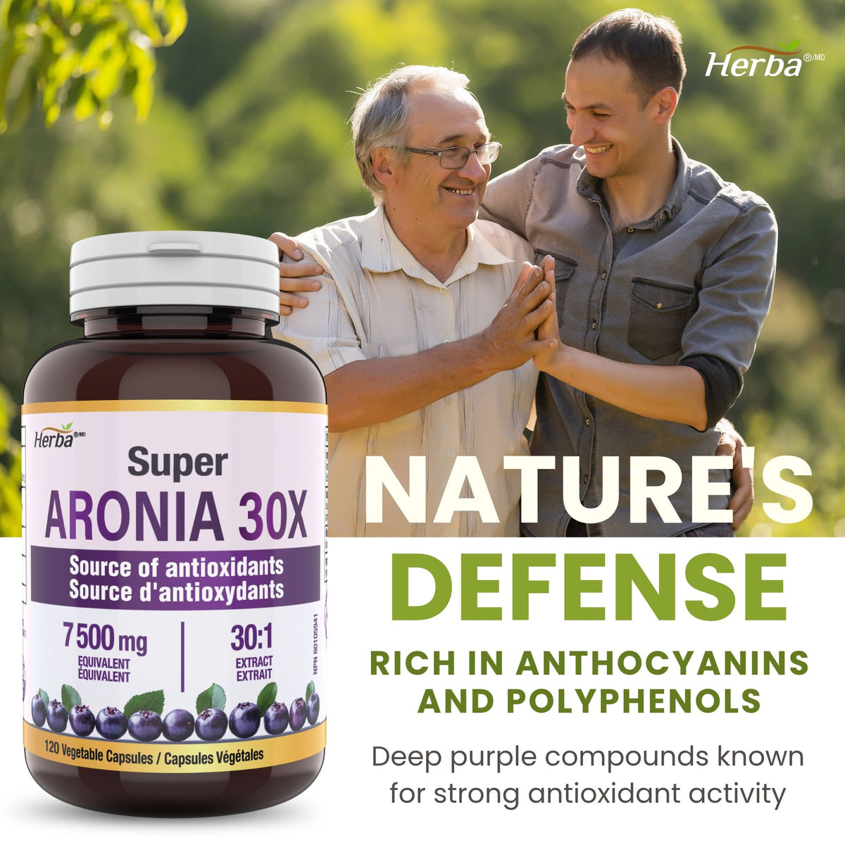 Aronia Berry Extract 250mg – 120 Capsules | 7500mg Fruit Equivalent | 30:1 Aronia Extract Supplement