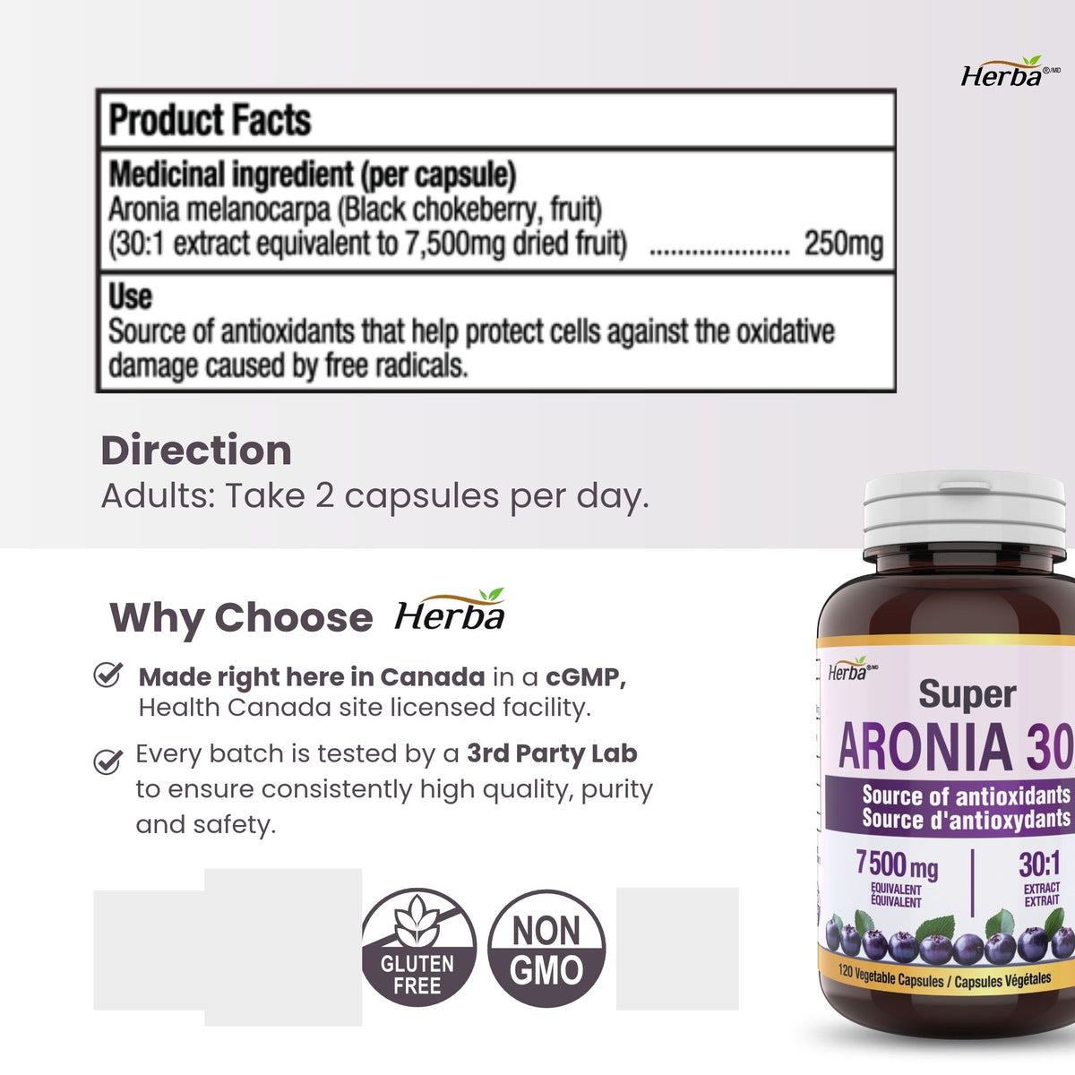 Aronia Berry Extract 250mg – 120 Capsules | 7500mg Fruit Equivalent | 30:1 Aronia Extract Supplement