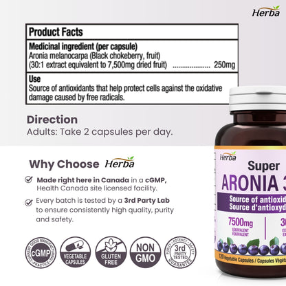 Aronia Berry Extract 250mg – 120 Capsules | 7500mg Fruit Equivalent | 30:1 Aronia Extract Supplement
