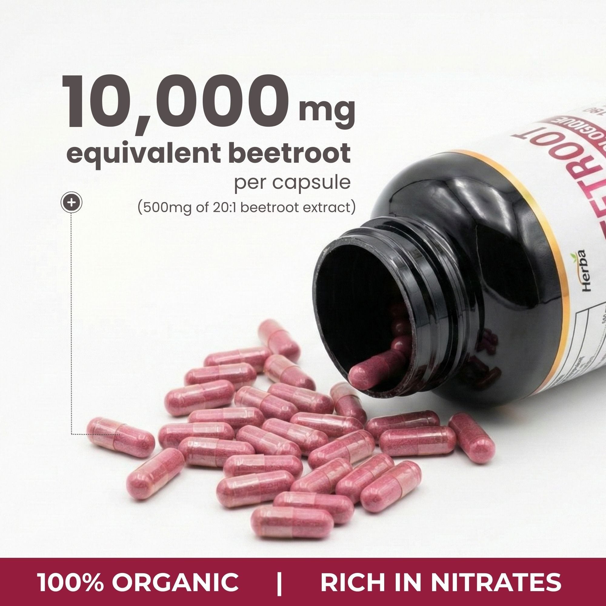 Organic Beet Root Supplement - 180 Capsules | 10,000mg Equivalent - 20:1 Extract Beetroot | Made in Canada