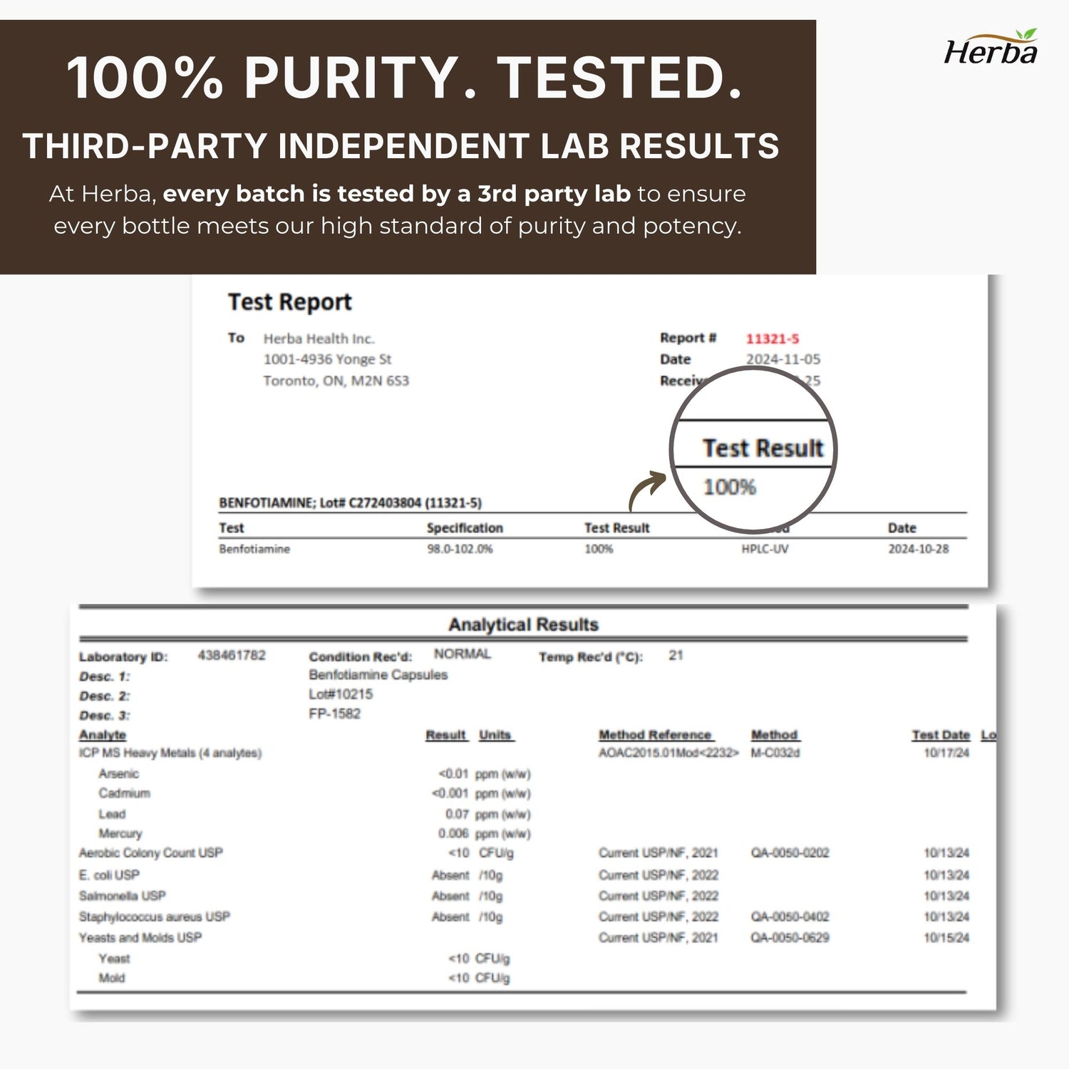 Benfotiamine 100mg - 120 capsules | Vitamine B1 liposoluble | Fabriqué au Canada