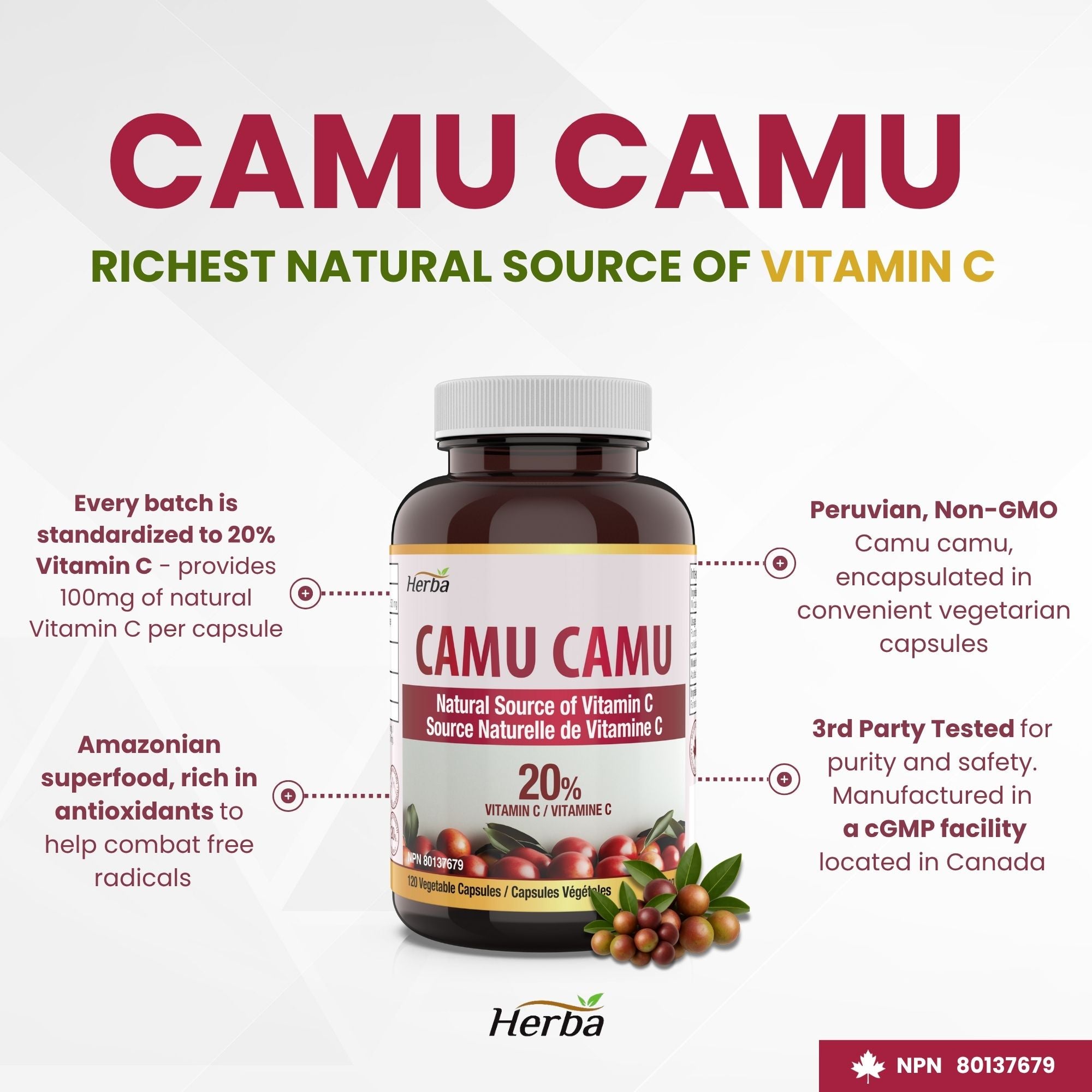 Camu Camu Capsules 500mg - 120 Capsules | 20% Natural Vitamin C | Made in Canada