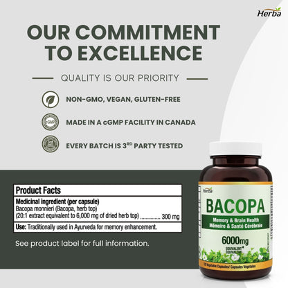 Bacopa Monnieri Supplement – 120 Capsules | 300mg, 20:1 Extract - 6,000mg Equivalent | Made in Canada