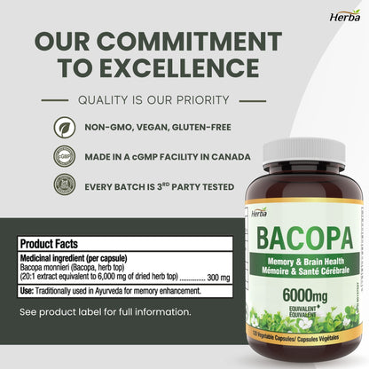 Supplément de Bacopa Monnieri – 120 Capsules | 300mg, extrait 20:1 - équivalent de 6,000mg | Fabriqué au Canada