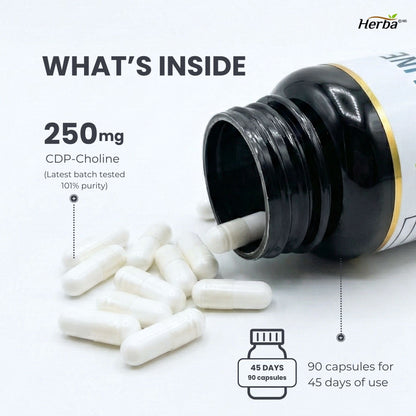 Supplément de Citicoline 250mg – 90 Capsules | >98% Ultra Pur CDP Choline | Fabriqué au Canada