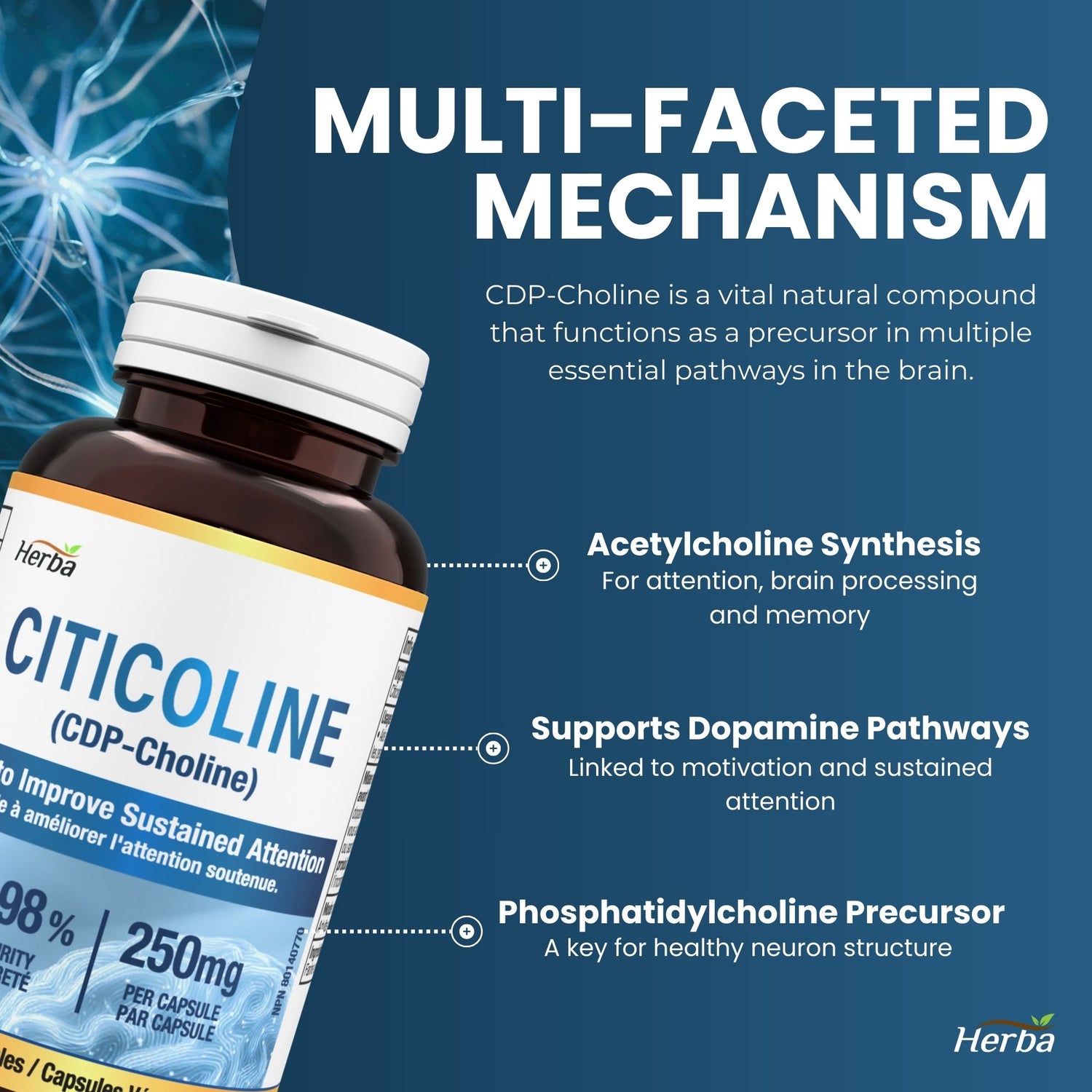Citicoline Supplement 250mg – 90 Capsules | &gt;98% Ultra Pure CDP Choline | Made in Canada