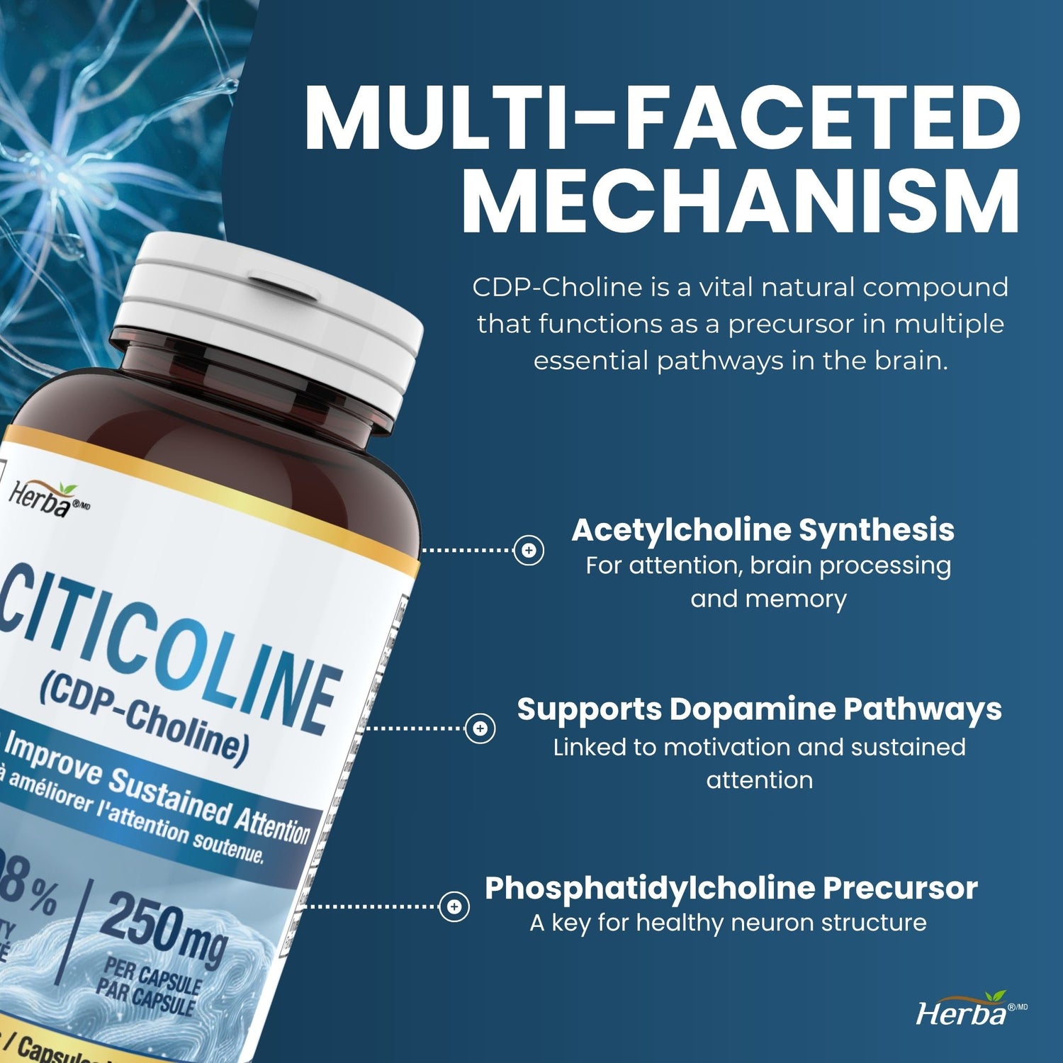 Supplément de Citicoline 250mg – 90 Capsules | >98% Ultra Pur CDP Choline | Fabriqué au Canada