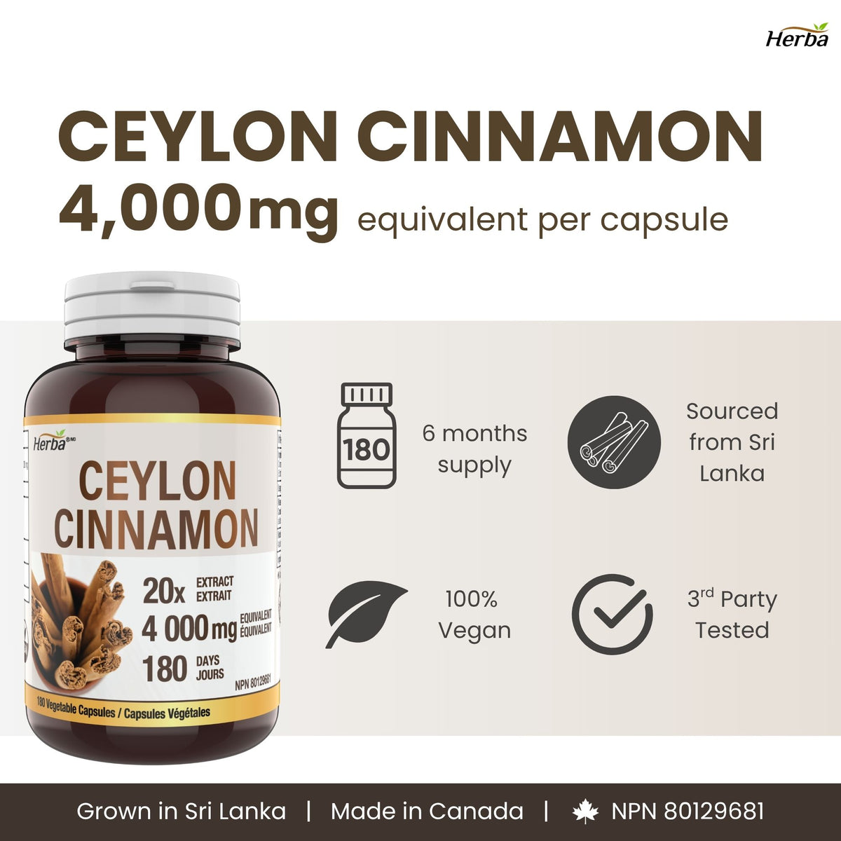 Gélules de cannelle de Ceylan 4000 mg - 180 gélules végétales | Extrait 20:1 | Fabriqué au Canada