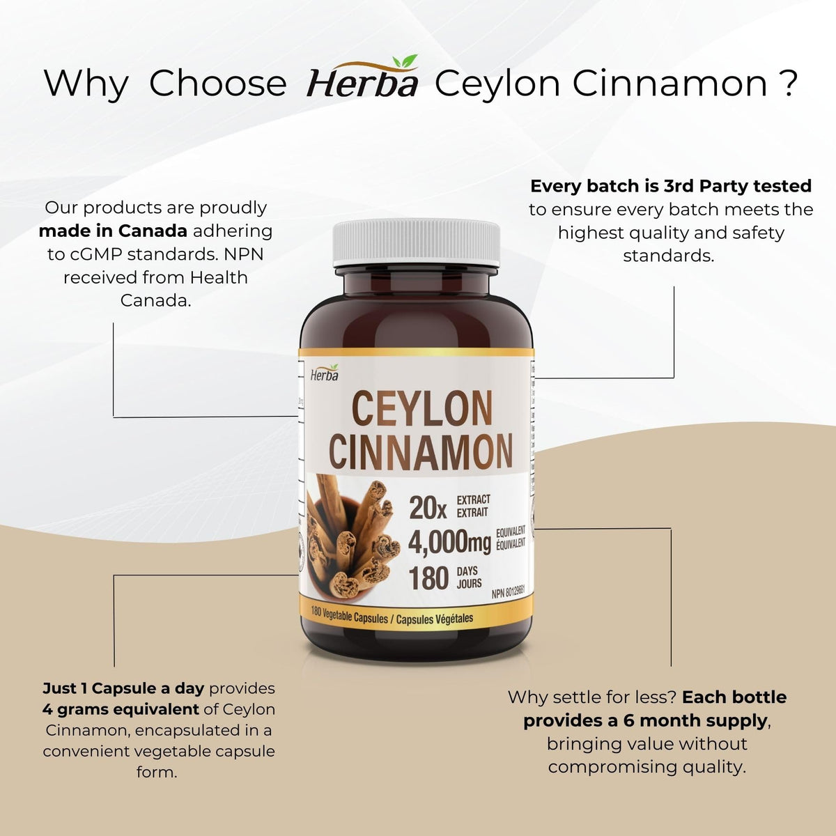 Buy Herba Ceylon Cinnamon Capsules | 4000mg, 180 Count | Made in Canada
