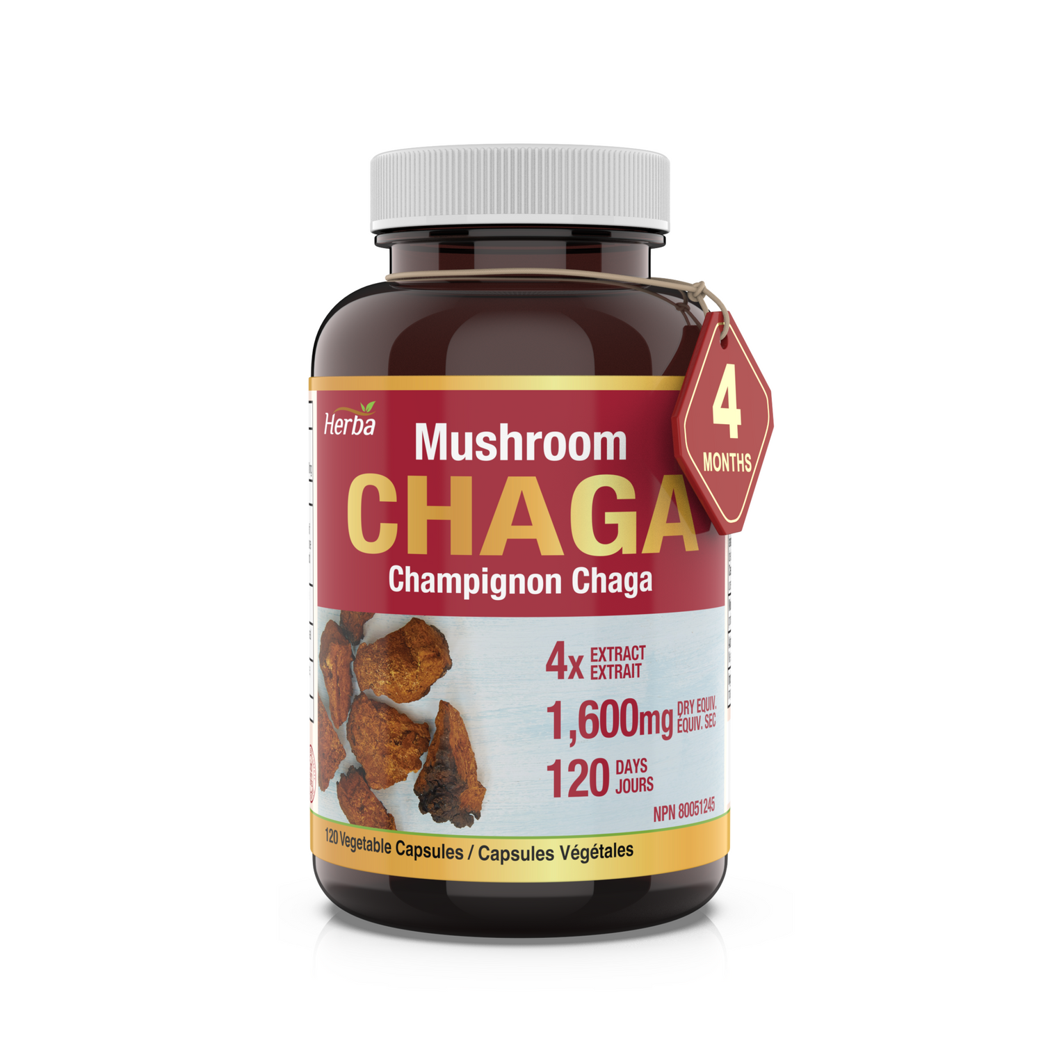Herba Chaga Mushroom Capsules 400mg - 120 Vegetable Capsules | 4:1 High Concentrate