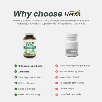 Extrait de Chanca Piedra - 180 Capsules | Équivalent de 5 000mg | Extrait 10:1 de 500mg | Fabriqué au Canada