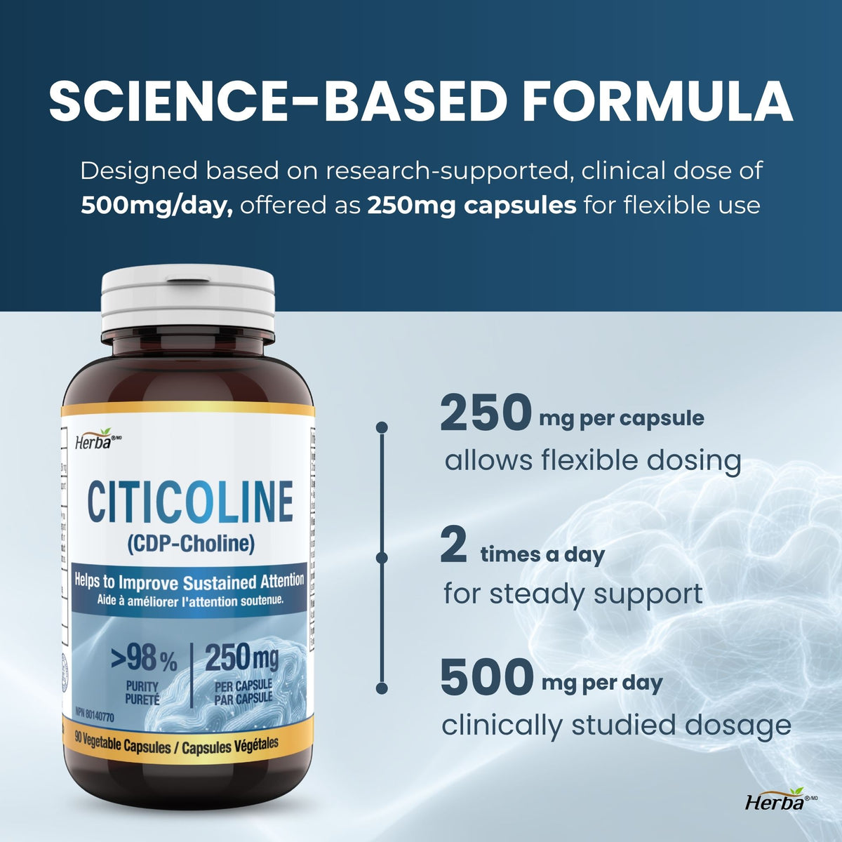 Supplément de Citicoline 250mg – 90 Capsules | >98% Ultra Pur CDP Choline | Fabriqué au Canada