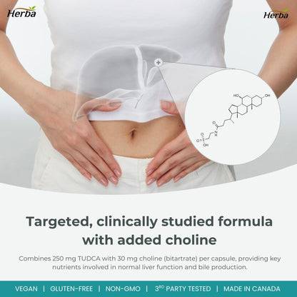 TUDCA Supplement for Liver – 30 Capsules | >98% Purity | Purified Bile Salts Supplements | 250mg TUDCA + Choline | Made in Canada