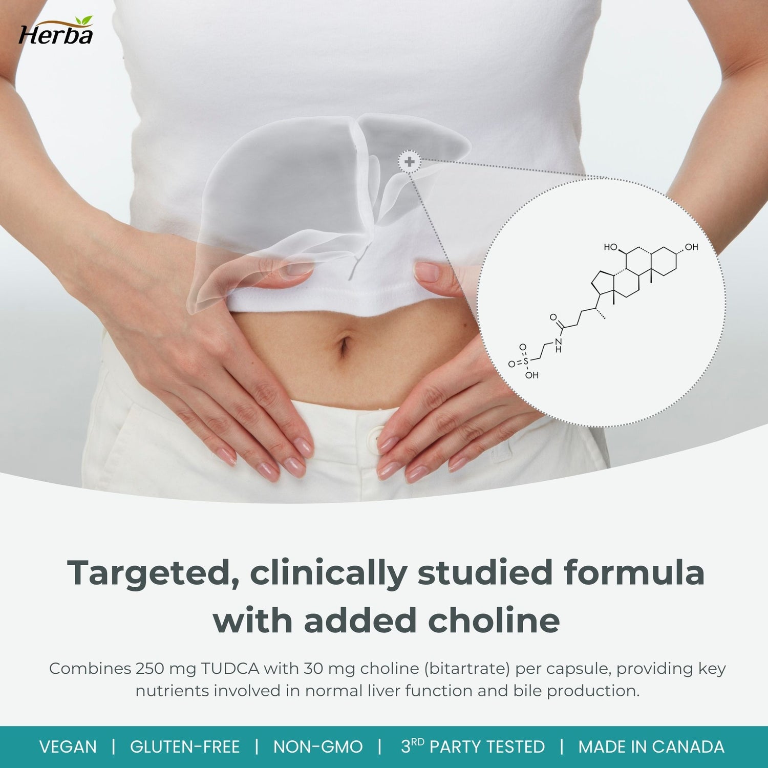 Supplément TUDCA pour le foie – 30 capsules | >98% de pureté | Suppléments de sels biliaires purifiés | 250 mg de TUDCA + Choline | Fabriqué au Canada