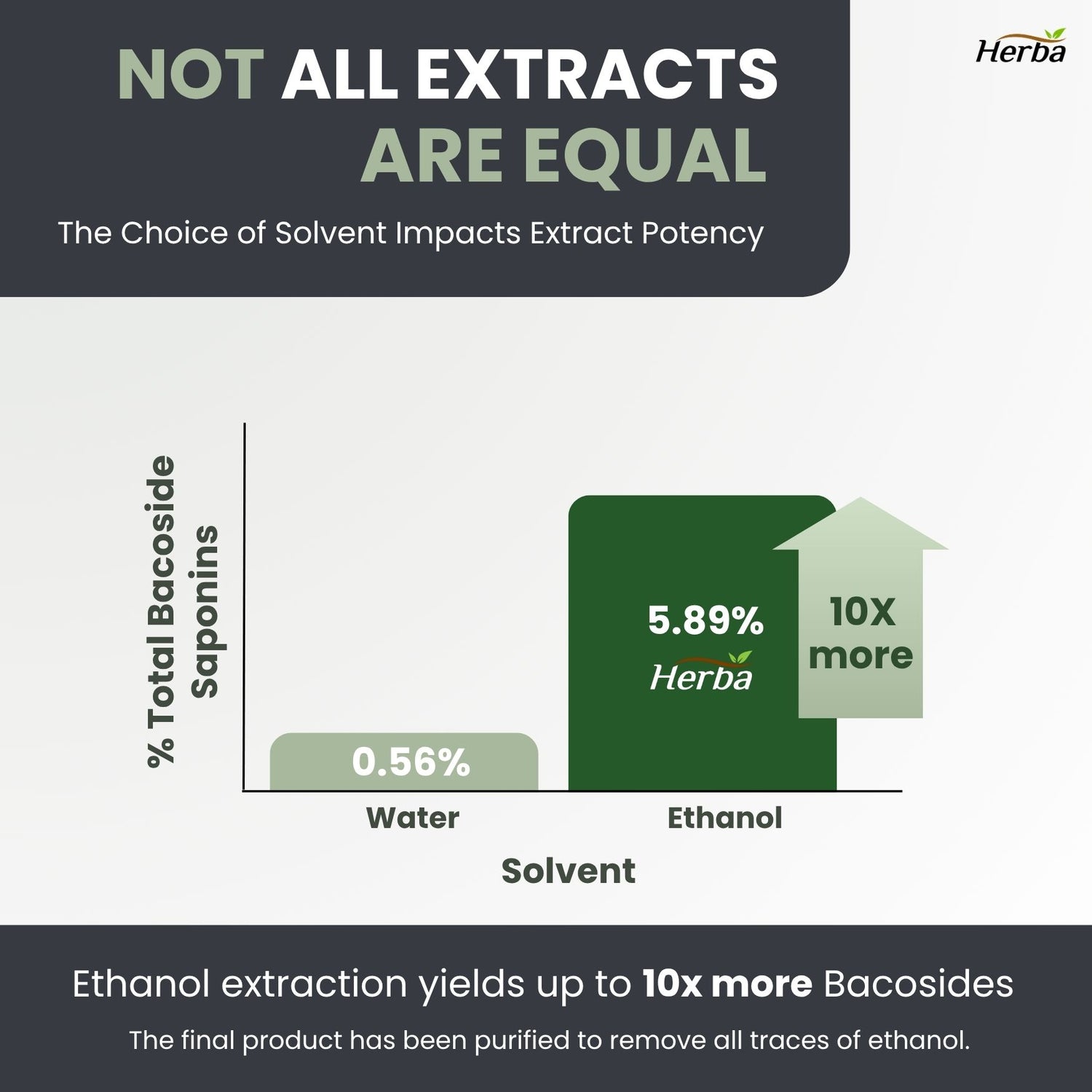 Bacopa Monnieri Supplement – 120 Capsules | 300mg, 20:1 Extract - 6,000mg Equivalent | Made in Canada