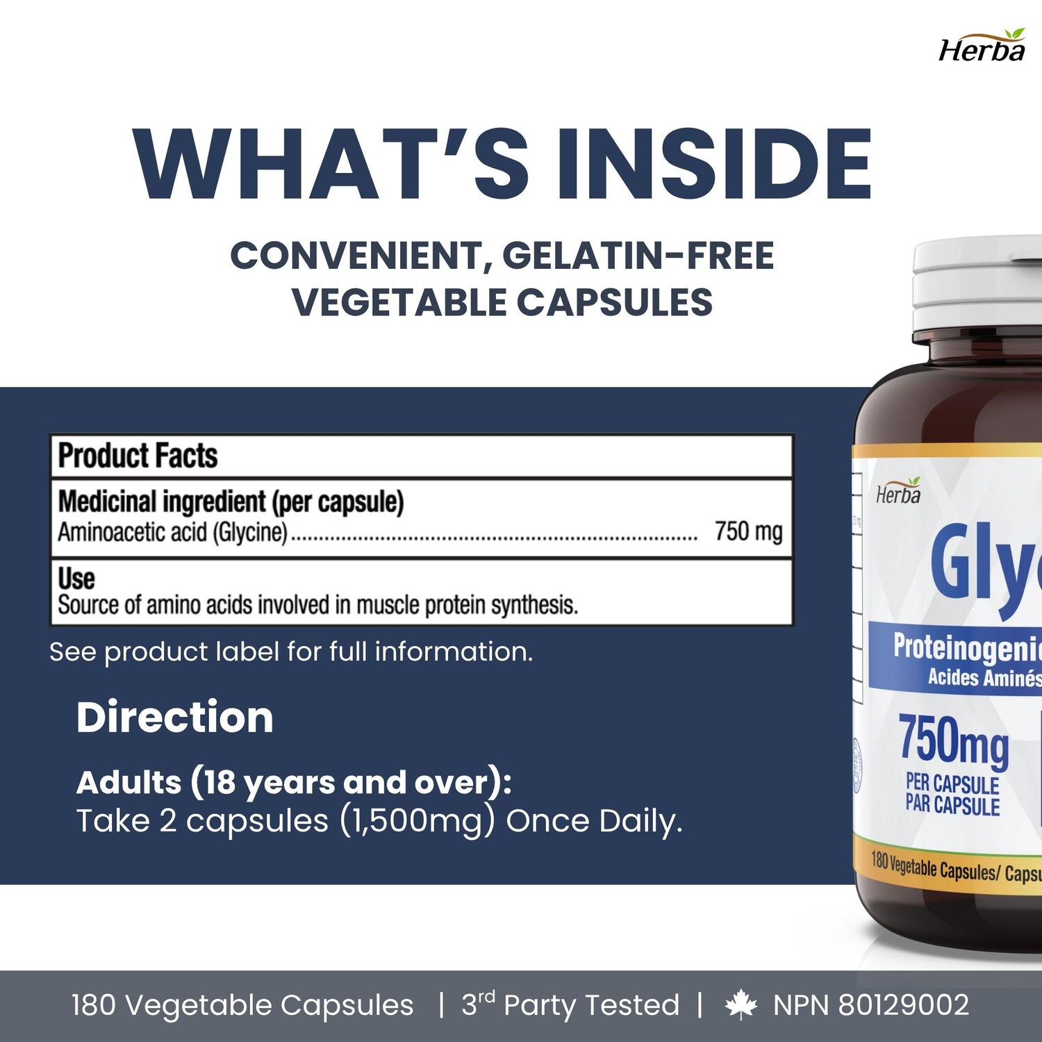 Herba Glycine Supplement 750mg - 180 Capsules - &gt;99% Ultra Pure Glycine Capsules | Made in Canada