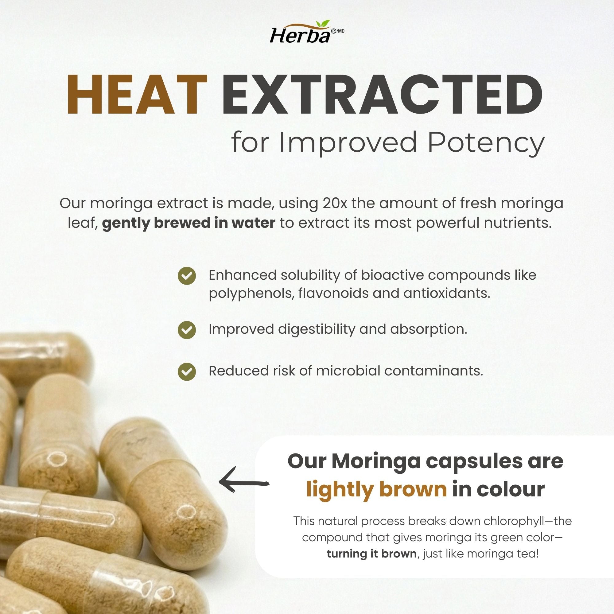 Organic Moringa Extract Capsules 10,000mg - 180 Capsules | 20:1 Extract | Made in Canada