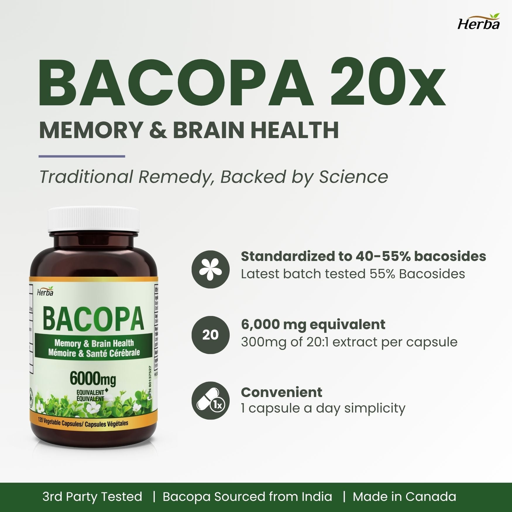 Bacopa Monnieri Supplement – 120 Capsules | 300mg, 20:1 Extract - 6,000mg Equivalent | Made in Canada