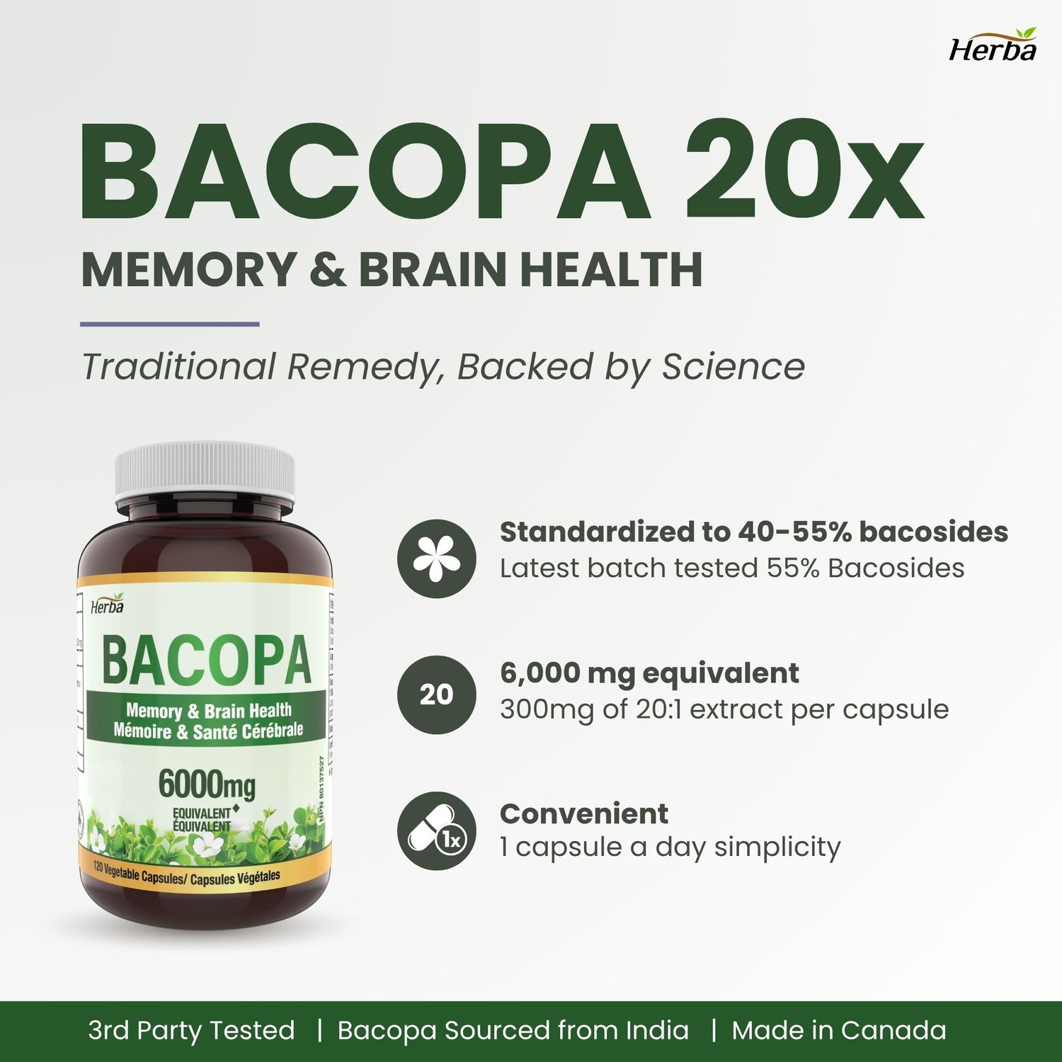 Supplément de Bacopa Monnieri – 120 Capsules | 300mg, extrait 20:1 - équivalent de 6,000mg | Fabriqué au Canada