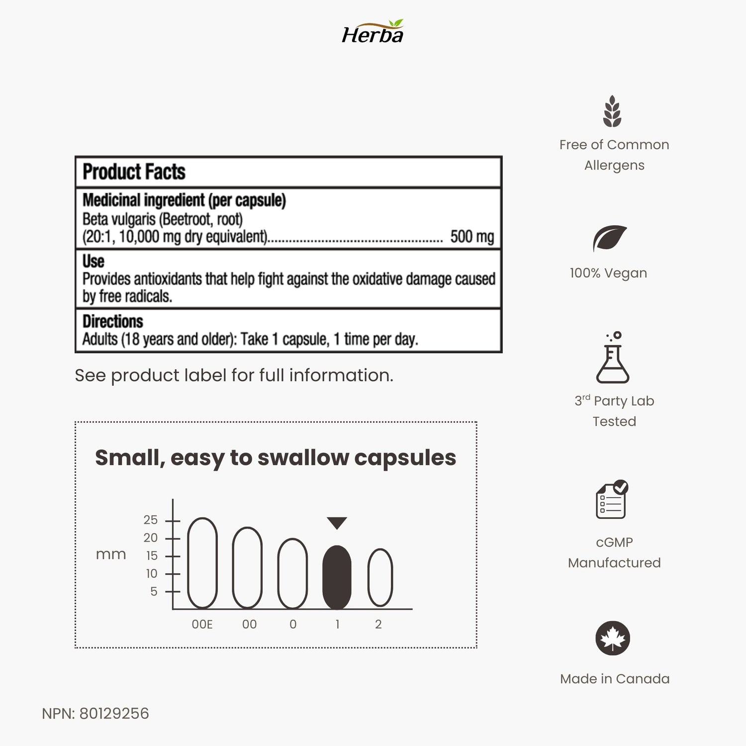 Organic Beet Root Supplement - 180 Capsules | 10,000mg Equivalent - 20:1 Extract Beetroot | Made in Canada