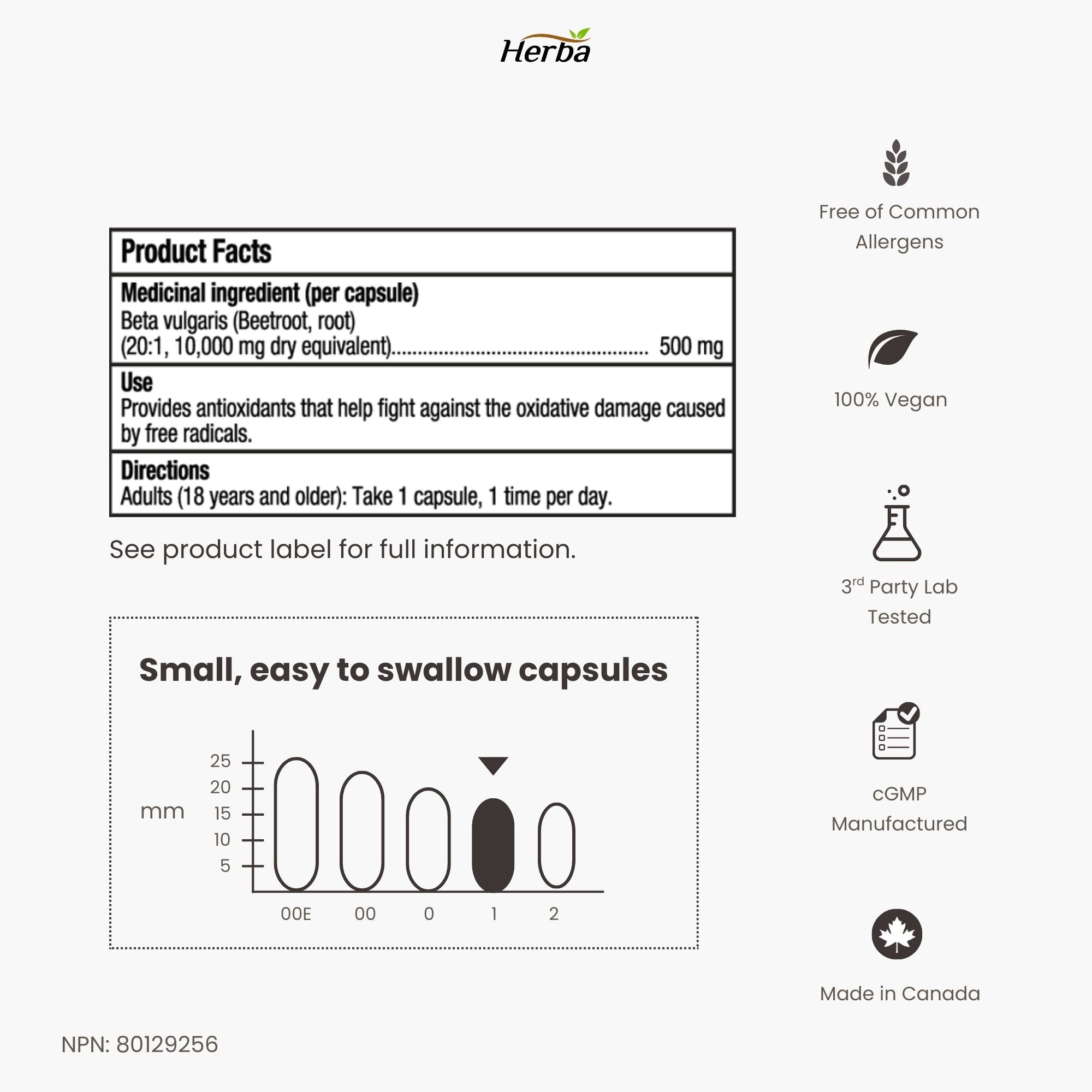 Organic Beet Root Supplement - 180 Capsules | 10,000mg Equivalent - 20:1 Extract Beetroot | Made in Canada