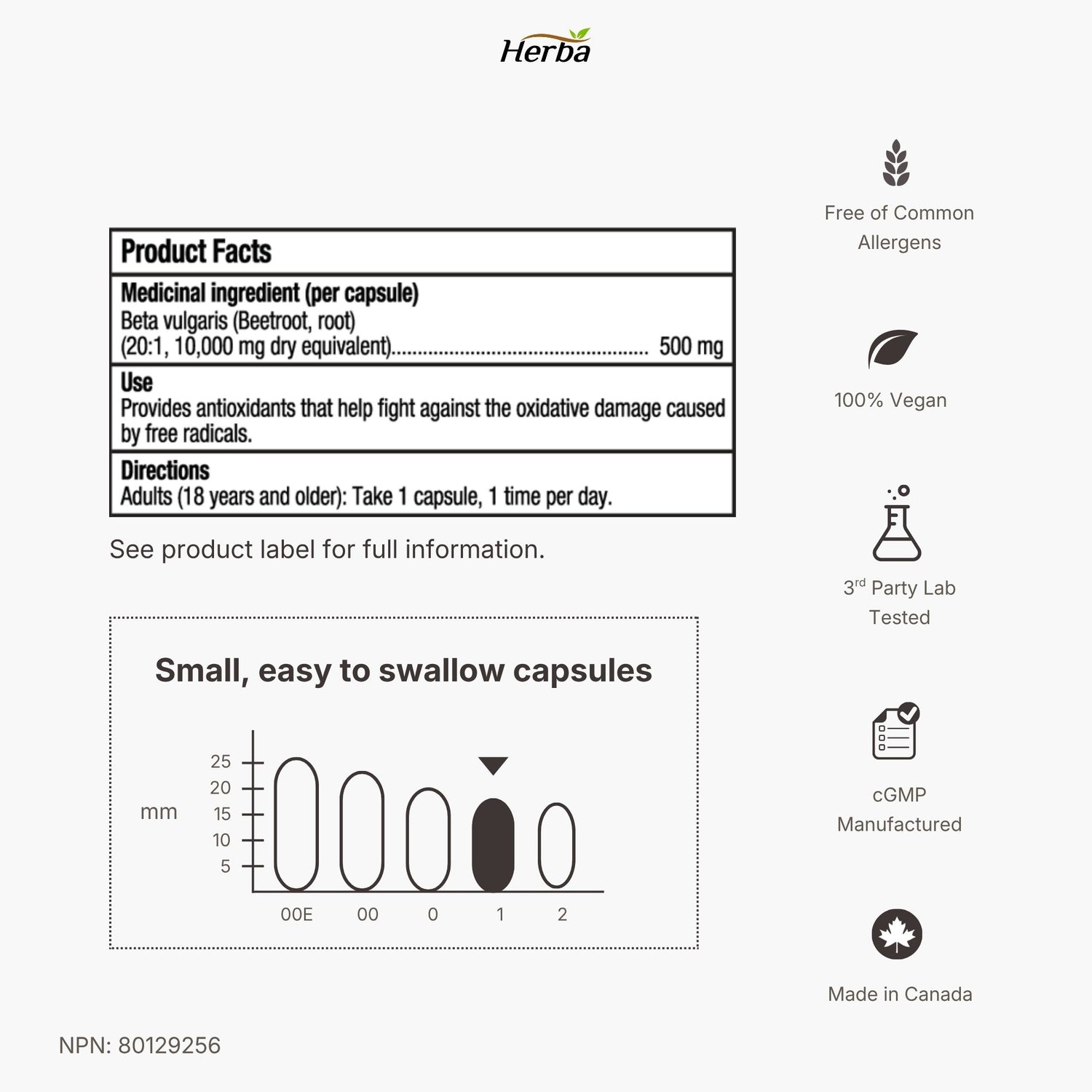 Supplément de racine de betterave biologique - 180 Capsules | Équivalent à 10 000 mg - Extrait de betterave 20:1 | Fabriqué au Canada