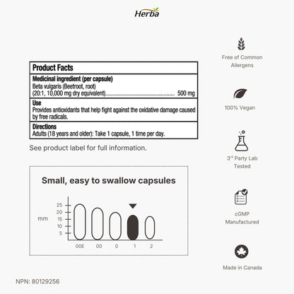 Supplément de racine de betterave biologique - 180 Capsules | Équivalent à 10 000 mg - Extrait de betterave 20:1 | Fabriqué au Canada