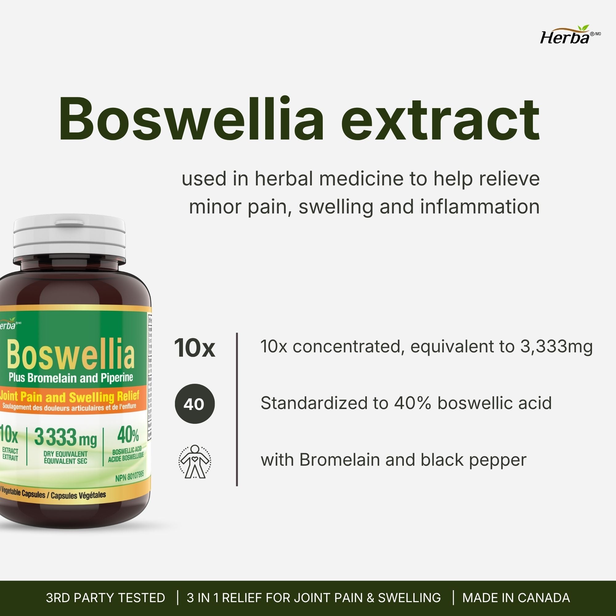 Boswellia Serrata Capsules with Bromelain Supplement - 120 Capsules