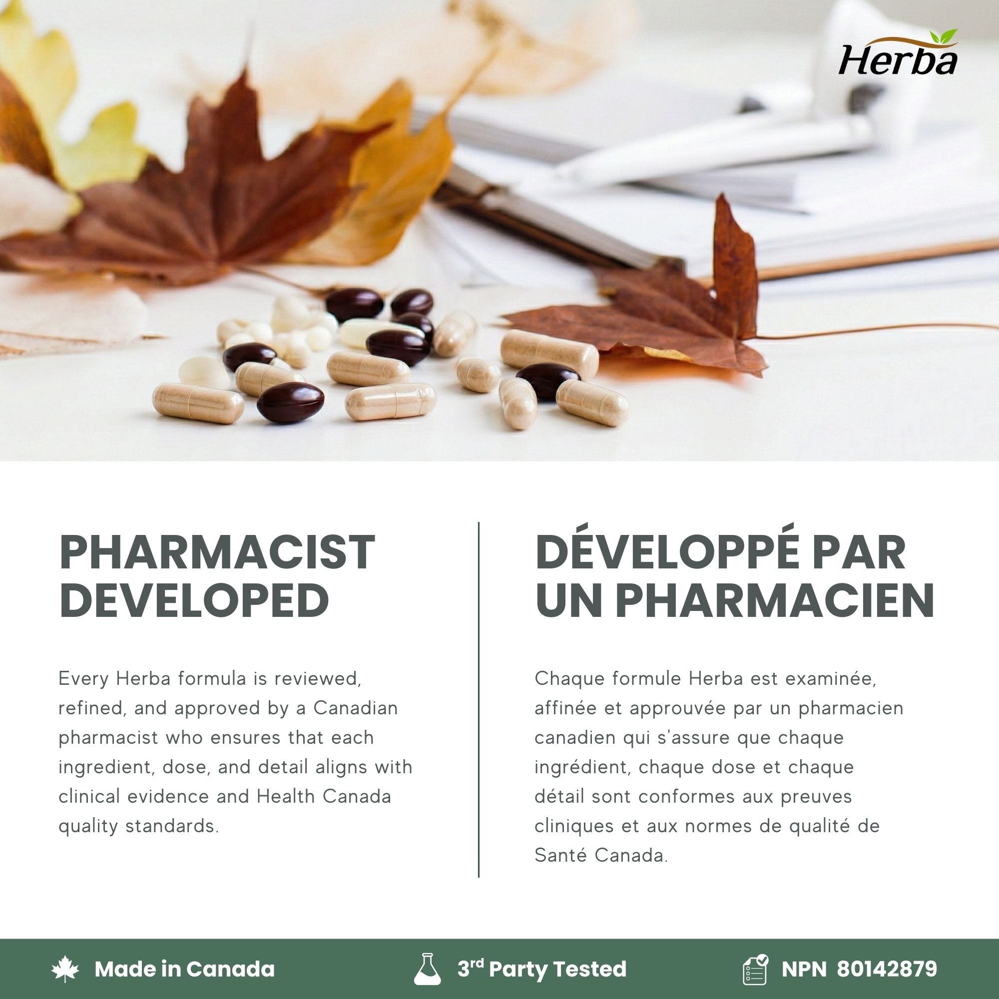 Chanca Piedra Extract - 180 Capsules | 5,000mg Equivalent | 10:1 Extract from 500mg | Spanish for "Stone Breaker" | Made in Canada