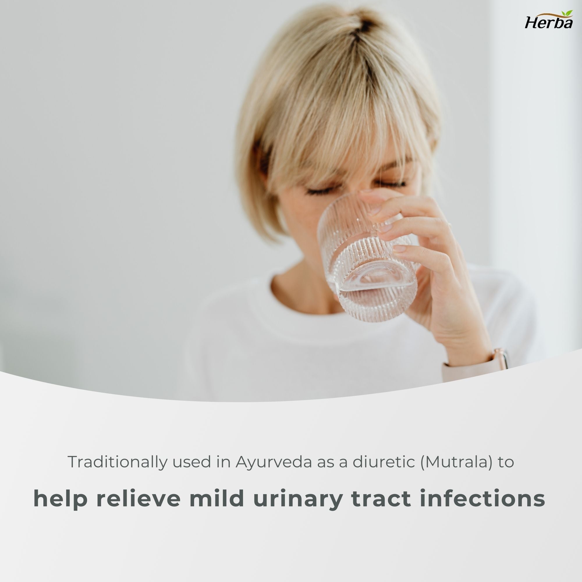 Chanca Piedra Extract - 180 Capsules | 5,000mg Equivalent | 10:1 Extract from 500mg | Spanish for "Stone Breaker" | Made in Canada